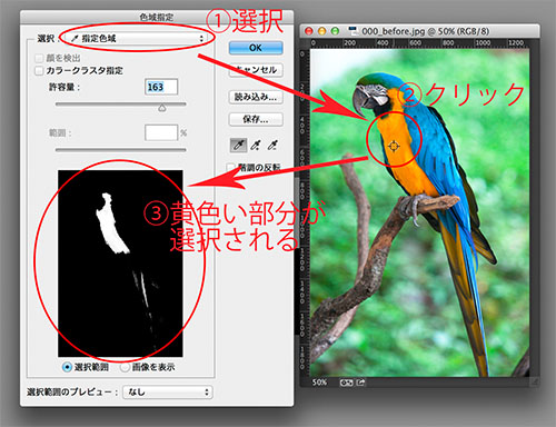 色域指定を使って選択範囲を作る Photoshop 色調補正ゼミナール Shuffle By Commercial Photo