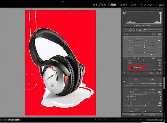 第15回 新しくなったトーンカーブ Lightroom 実践力アップ講座 Shuffle By Commercial Photo