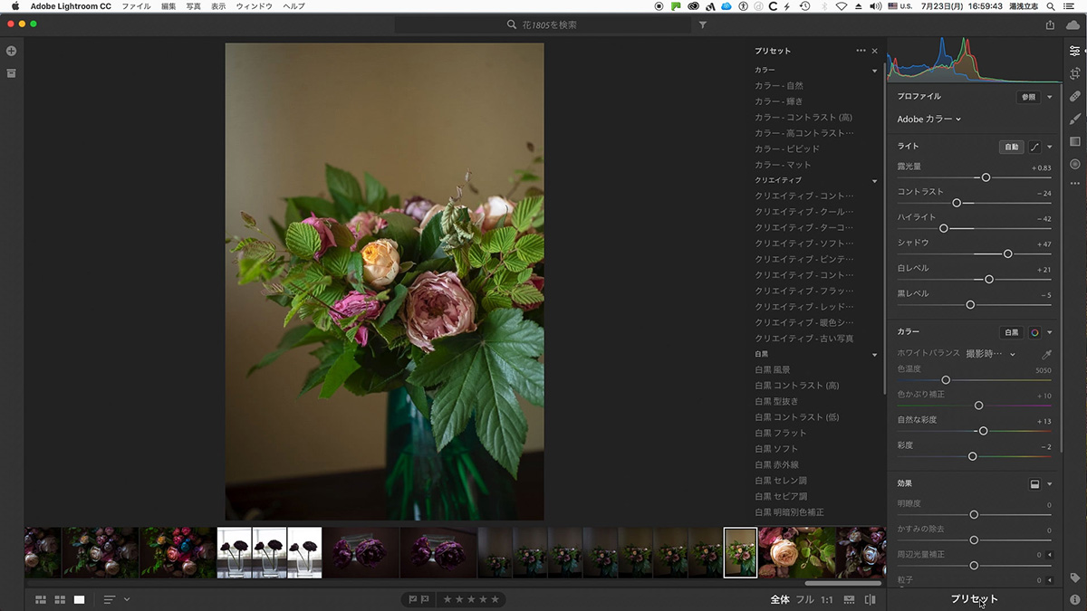 Lightroom Cc プロファイルから始める画像調整 Lightroom 実践力アップ講座 Shuffle By Commercial Photo