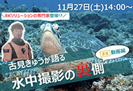 8K動画のオンライントークイベント 「古見きゅうが語る水中撮影の裏側　8K動画編」が11月27日に開催