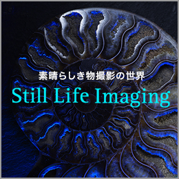 Still Life Imaging -素晴らしき物撮影の世界-