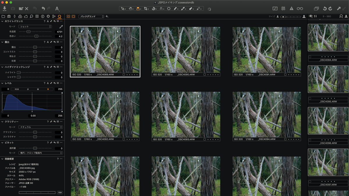 撮影レポート】SONY α9の秒20コマ連写でハイクオリティ動画を撮影する