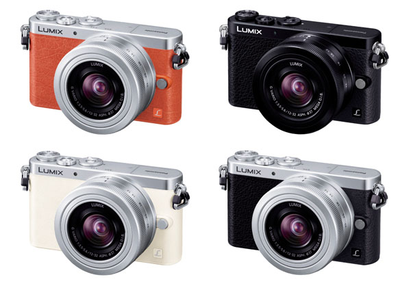 newproduct_20131018_panasonicLumixgm_I.jpg