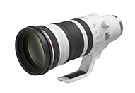 優れた機動力と単焦点レンズに迫る高画質を両立｜キヤノン RF100-300mm F2.8 L IS USM