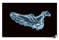 表現力向上セミナー【イメージ広告編】【不動産広告編】【製品写真編】