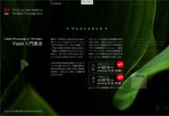 Adobe Photoshop ユーザのためのFlash入門講座