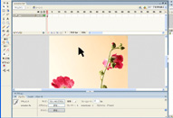 スペシャルサイト 「フォトグラファーのためのAdobe Flash入門講座」