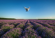 アマナビが8月の「アマナドローンスクール JUIDA認定ライセンス取得講座 無料説明体験会」を開催