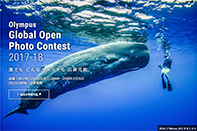 プロ・アマ問わず参加可能﻿﻿「Olympus Global Open Photo Contest 2017-18」