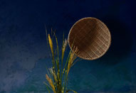 鹿野宏作品展「Still×Scapes」