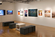 写真展の開催希望者を募集｜ソニーイメージングギャラリー銀座 第5回写真展公募