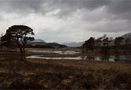 上田義彦 写真展「Materia 2015」