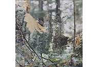 山田博行 写真展「CABIN」