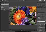 第9回　Adobe Photoshop Lightroom 3 Beta2 公開