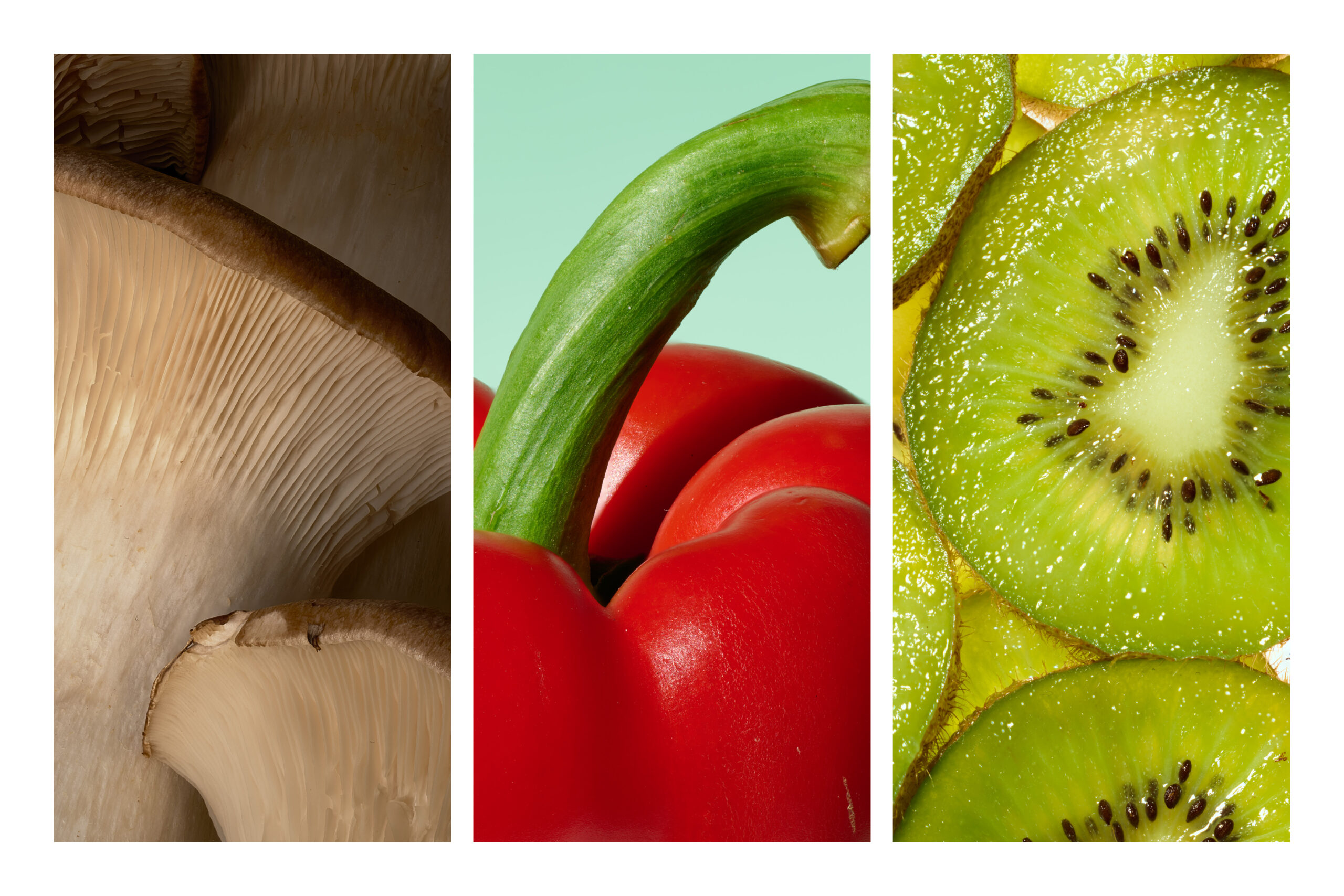 注目の風景写真作家・今坂庸二朗氏の日本で初の作品集『Wet Land