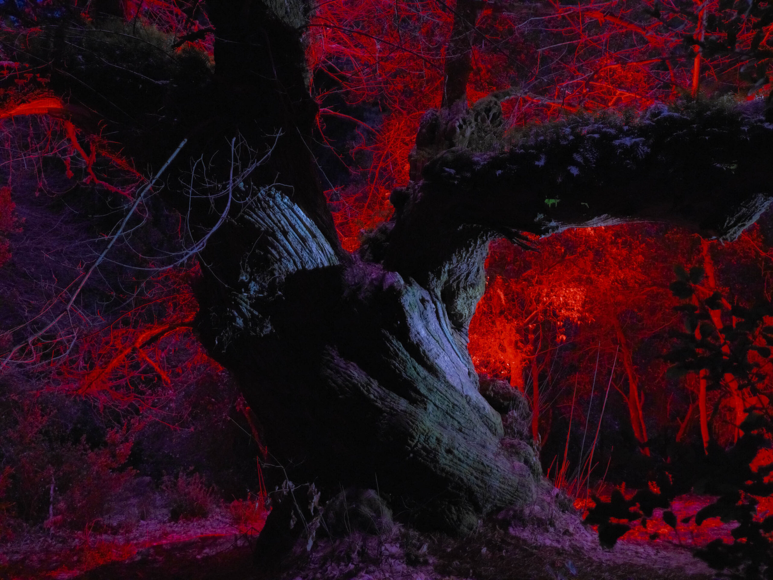 全世界から選ばれた クリエイター15名の作品がついに完成！ 富士