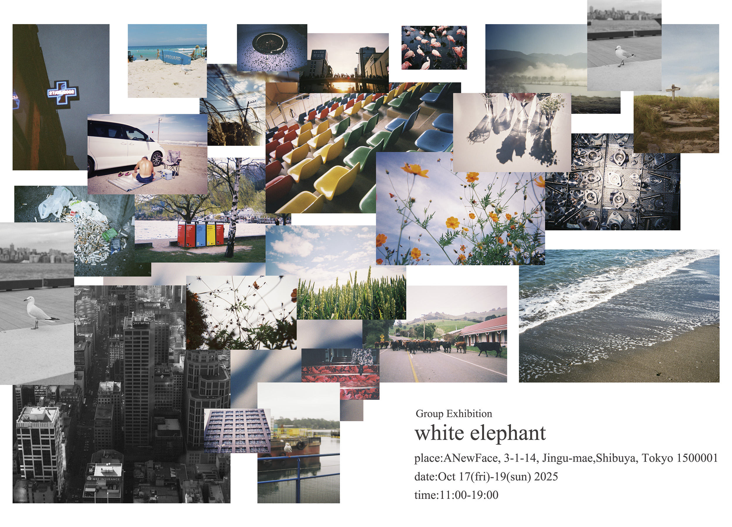 フォトグラファー 小暮和音、ディレクター 奥田祥生